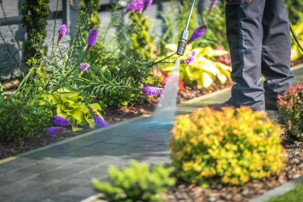 Best Boat and Dock Cleaning  in Cedar Grove, WI